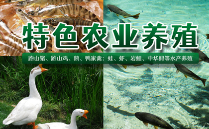 长宁县崛起农业开发有限公司