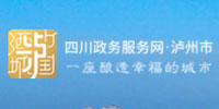 泸州市政务服务网